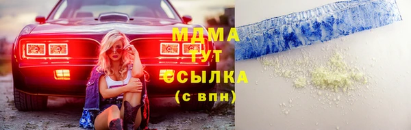 сатива Новокубанск