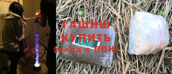 сатива Новокубанск