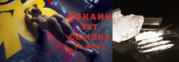 сатива Новокубанск