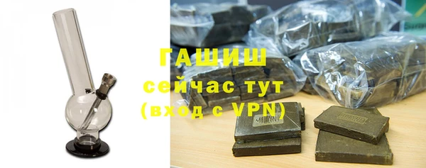 сатива Новокубанск