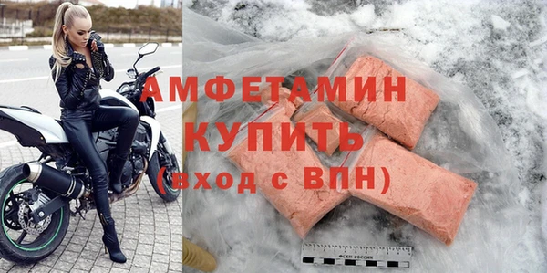 сатива Новокубанск