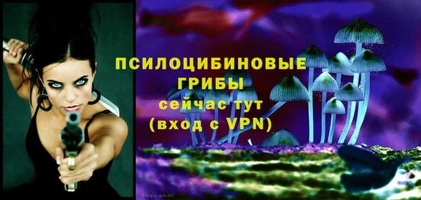 сатива Новокубанск