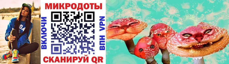 Галлюциногенные грибы ЛСД  Купить закладки  Камызяк 