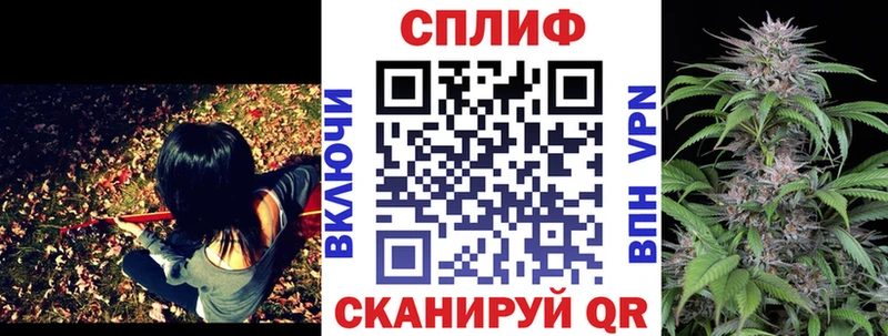 Купить закладки  Камызяк  Канабис SATIVA & INDICA 
